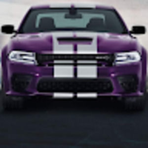 Meet your Posher, Tanner